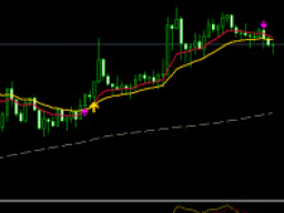 Webinar: ZmL Forex-Trading-Akademie - 4. MACD und Stochastik Indikator