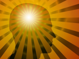 Webinar: The Secret Workshop Mentaltraining