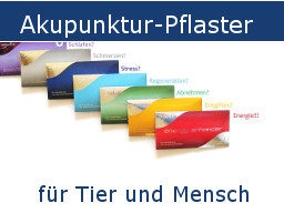 Webinar: Akupunktur-Pflaster für Tiere und Menschen