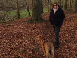 Webinar: Das Hundehalter-ABC: Von der "Hundesprache" bis zum richtigen Umgang mit dem Hund