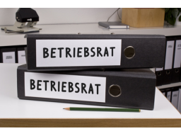 Webinar: Coaching für Betriebs-/Personalräte