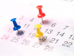 Webinar: Jahresplaner / Projektplaner Veranstaltungsreihe mit 4 Terminen