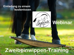 Webinar: Pferdewippen-Training: Zweibeinwippe