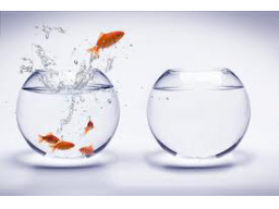 Webinar: Chance to Change - Chance auf Wandel