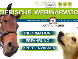 Webinar: Darmgesundheit & Chronische Vergiftungen (2 Webinare 1 Preis)