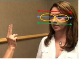 Webinar: Expresscoaching "EMDR & InnereBibliothek®"