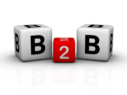 Webinar: Webinar para empresas B2B: Crea el Presupuesto de MKT Perfecto