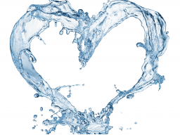 Webinar: Kann Intelligentes Trinken Krebs vermeiden?