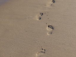 Webinar: Akademie für Holistisches Marketing: Modul VI - FOLLOW your DREAM