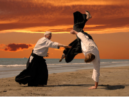 Webinar: Verbales Aikido - Die gewaltfreie Dialogkunst