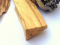 Webinar: Palo Santo - Räuchern und Rituale mit dem heiligen Holz aus Südamerika