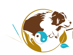 Webinar: Block 5 - Osteopunktur für Hunde