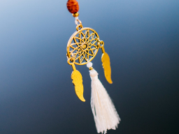 Webinar: Was kommt NACh Feng Shui?