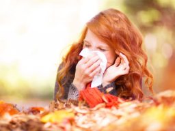 Webinar: Allergien aus ganzheitlicher Sicht
