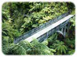 Webinar: Neuseeland Webinar - Nordinsel