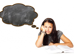 Webinar: DER KLUGE KOPF - SchulproblemCoaching