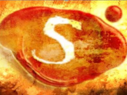 Webinar: Secret Workshop Mentaltraining