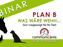 Webinar: Wenn plötzlich alles anders ist. Plan B für Ihr Tier.