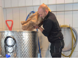 Webinar: Bier brauen - Wie der erste Brauversuch gelingt