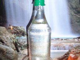 Webinar: Fit fürs Leben - Lebenselexier WASSER