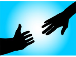 Webinar: Systemisches Einzelcoaching