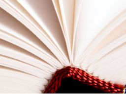 Webinar: Webinar zum Autorenseminar in Nürnberg