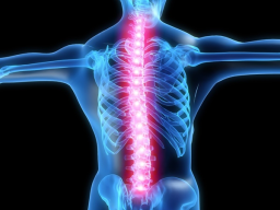 Webinar: Schmerztherapie mit Pulsierender Magnet Resonanz Stimulation ( MRS )