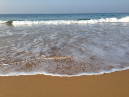Webinar: Lebensaufbaucoaching - Online Vortrag über das Elefantencoaching auf Sri Lanka