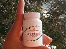 Webinar: Laminine (k)ein Geheimnis für perfekte Gesundheit