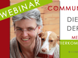 Webinar: Tierkommunikation - das Informationswebinar.