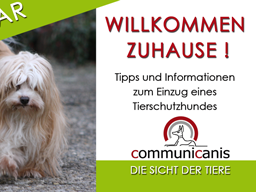 Webinar: Willkommen Zuhause mein Tierschutzhund.
