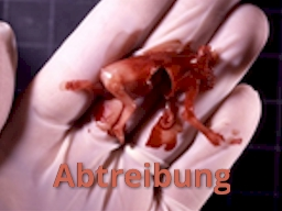 Webinar: Abtreibung - Weitreichende Folgen einer Tat