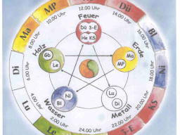 Webinar: Element Erde - das Schlüssel Element für eine gute Figur
