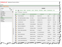 Webinar: Datenimport MSAccess-Datenbank nach MySQL oder Oracle