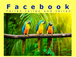 Webinar: Facebook: Teilen ist nicht gleich teilen!