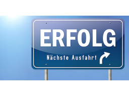 Webinar: Erfolg 2014