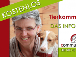 Webinar: Tierkommunikation - das Informationswebinar