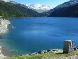 Webinar: Meditation See