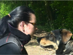 Webinar: Leben unter Hunden