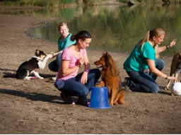 Webinar: Crossdogging für Hundetrainer - Optimierung der Crossdoggingstunde