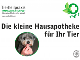 Webinar: Kleine alternative Hausapotheke für das Tier (Teil 2)