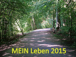 Webinar: Träume auf den Weg bringen