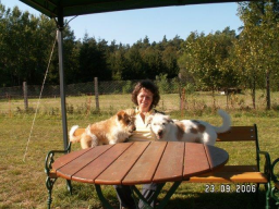 Webinar: Wohl bekomm's - Dein Hund ist, was er frisst!