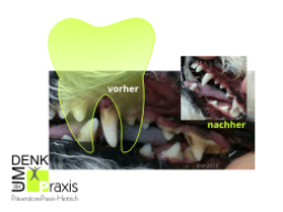 Webinar: Maul gesund (ohne Narkosen) = Tier gesund (heute um 9:00 + 20:30)