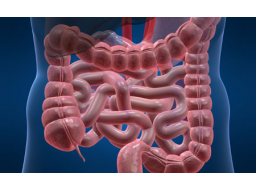 Webinar: DER DARM - UNSERE DARMGESUNDHEIT