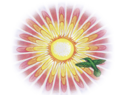 Webinar: Ostara und die Frühlings-Tag-und-Nacht-Gleiche