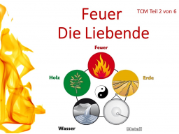 Webinar: TCM Teil 2 von 6: Feuer - Die Liebende