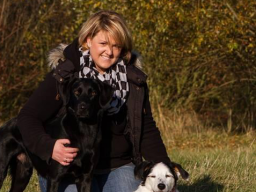 Webinar: MeinHundetraining Online Coaching