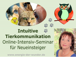 Webinar: Intuitive Tierkommunikation - für NEUEINSTEIGER - 12 Wochen Online-Intensiv-Seminar