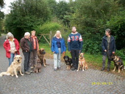 Webinar: Sachkunde Hund - Hundeführerschein